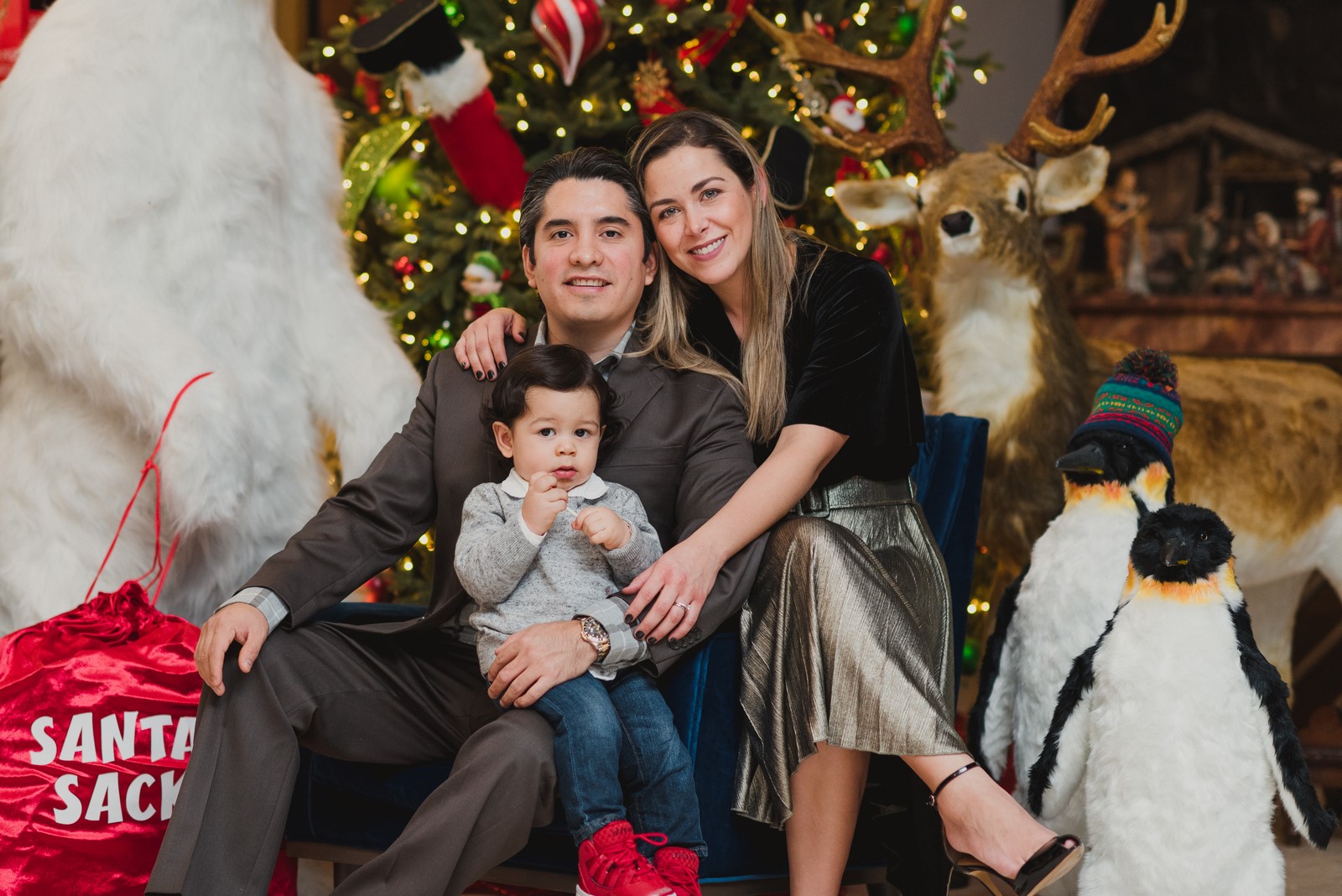 La magia de la Navidad